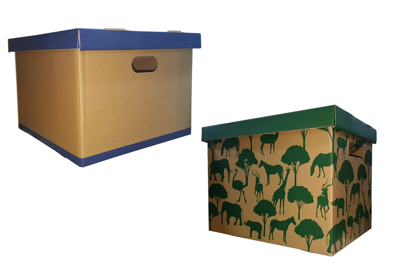 Cartons prêts pour un déménagement aidé par le FSL